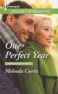 Image of One Perfect Year
