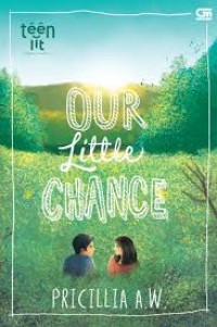 Image of Our Little Chance